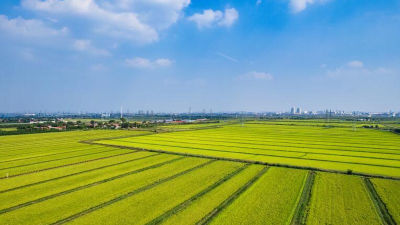 农资批发市场几点开门最划算