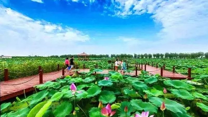 生鲜配送软件：不只是价格，更是效率与体验的升级