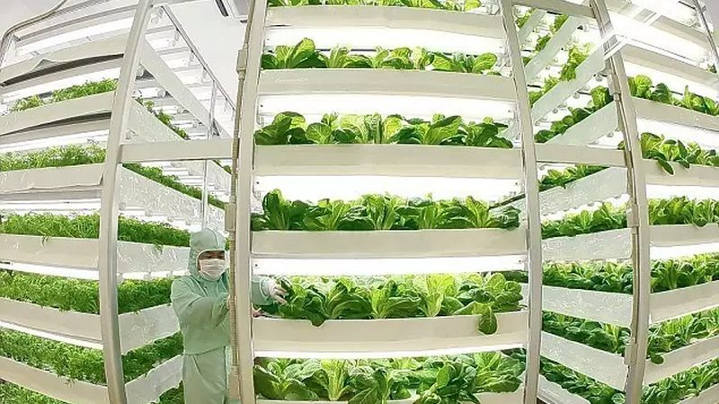 农资招标选平台，别让信息差吃掉你的利润