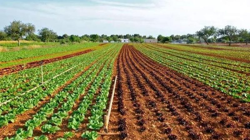 农业项目生产厂家安装服务：揭秘高效农业设施的关键环节