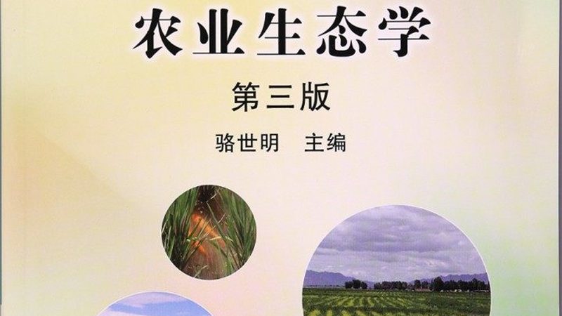 家庭农场大棚种植，这些作物更适合你