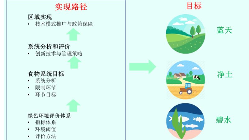 大棚蔬菜种植技术：揭秘高效与可持续的秘密
