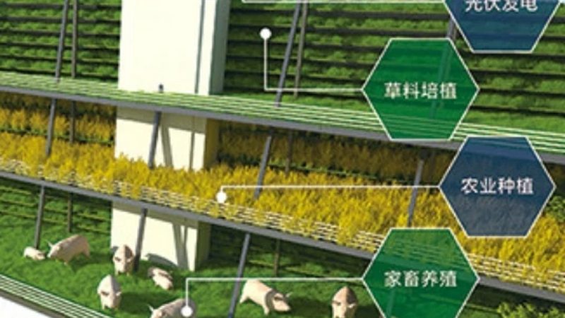 智慧农业种植管理系统选型前先想清楚这四件事