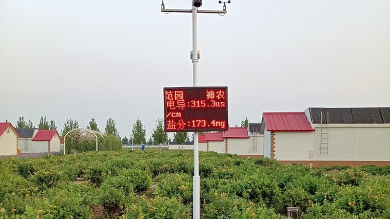 有机蔬菜认证标志怎么辨别真伪