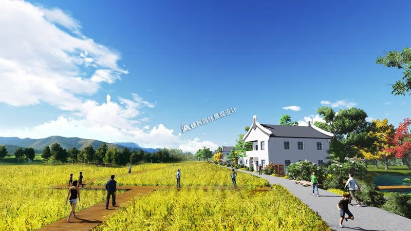 无土栽培与土培：两种种植方式的对比解析