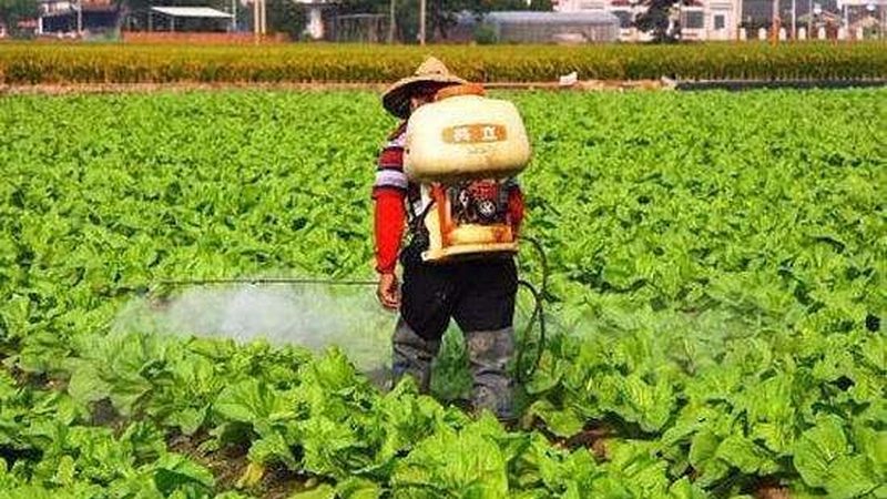 农业产业园招商优惠政策：如何高效申报**