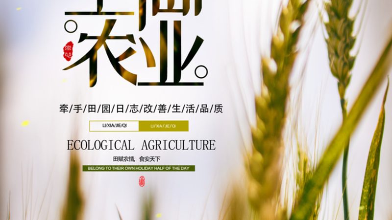 如何选择优质中国农业种植公司？**